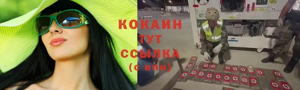 spice Алзамай