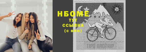 spice Алзамай