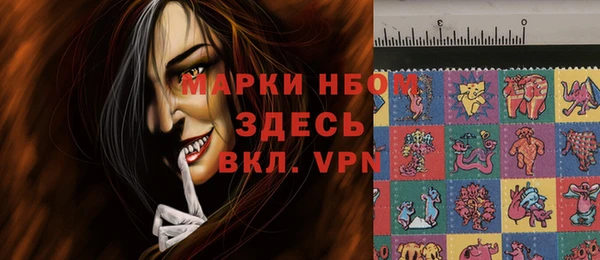 мет Алексин