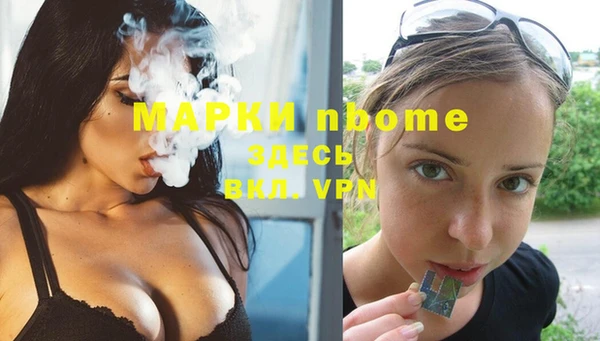 мет Алексин
