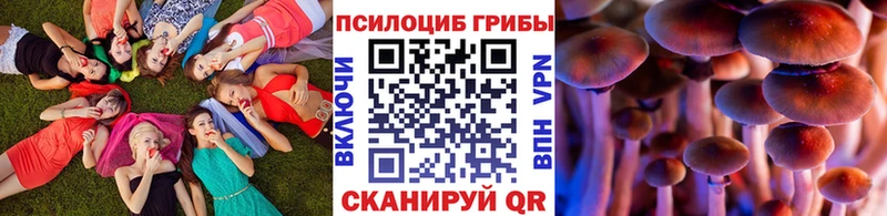 Псилоцибиновые грибы ЛСД  сайты даркнета наркотические препараты  Железногорск  закладка  OMG рабочий сайт 